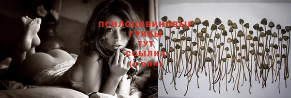 соль курить ск Армянск