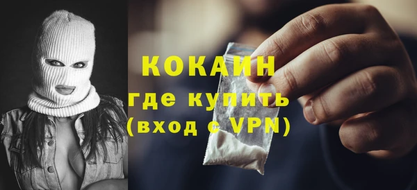 хмурый Арсеньев