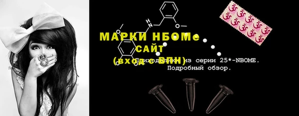 хмурый Арсеньев