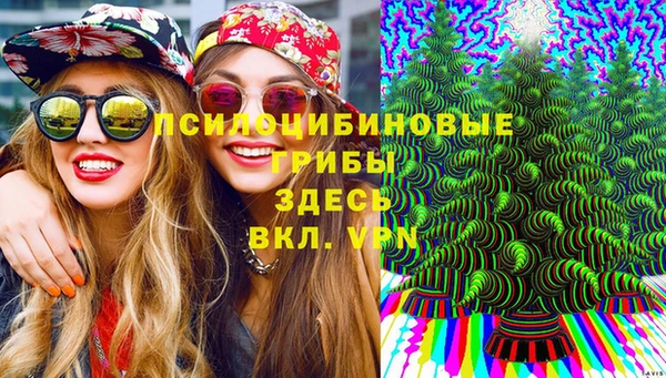 соль курить ск Армянск