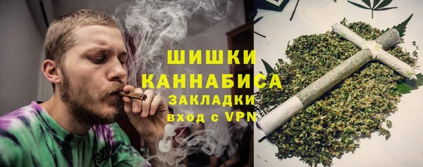 хмурый Арсеньев