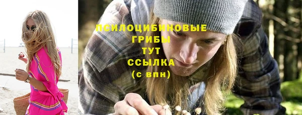 хмурый Арсеньев