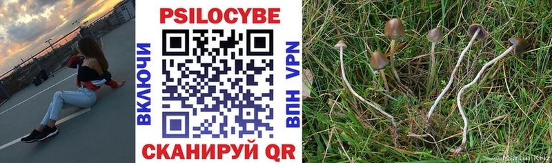 купить наркотики цена  Сунжа  Псилоцибиновые грибы прущие грибы 