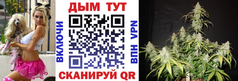 Каннабис ГИДРОПОН  Сунжа 
